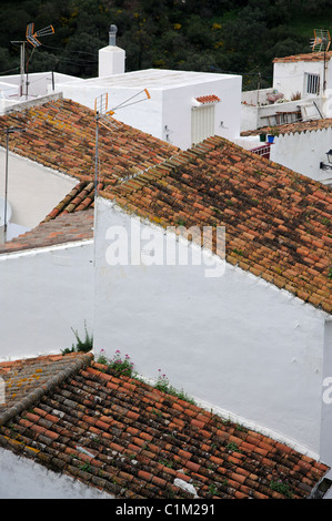 Townhouse rooftops in pueblo blanco, Casares, Cadiz Province, Andalucia, Spain, Western Europe. Stock Photo