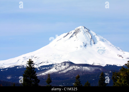 40,257.07607 A distant snow-covered mountain -- Mt Hood (11,240 ft tall) -- peaks over a tree covered ridge top, against a soft blue sky. Stock Photo