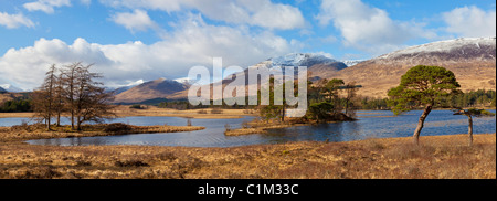 Caladonian Pines around Loch Tulla near Bridge of Orchy Stob Ghabhar and Stob a'Choire Rannoch moor Argyll and Bute Scotland Stock Photo