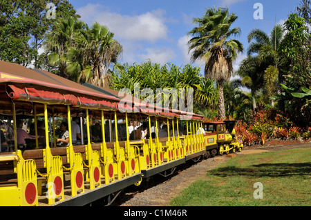 Dole Plantation Pineapple Express Train Wahiawa Honolulu Hawaii Oahu Pacific Ocean Stock Photo