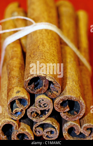 Cinnamon sticks tied with a string isolated on a red background. Stock Photo