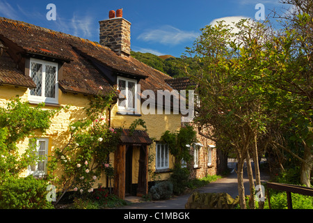 Rose cottage in the sleepy Exmoor village of Bossington Somerset UK Stock Photo