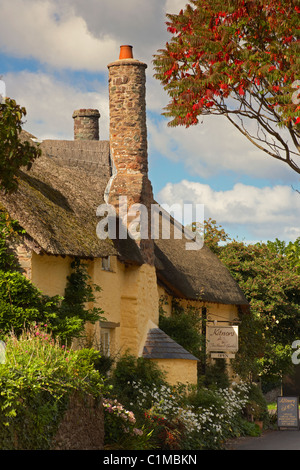 Rose cottage in the sleepy Exmoor village of Bossington Somerset UK Stock Photo