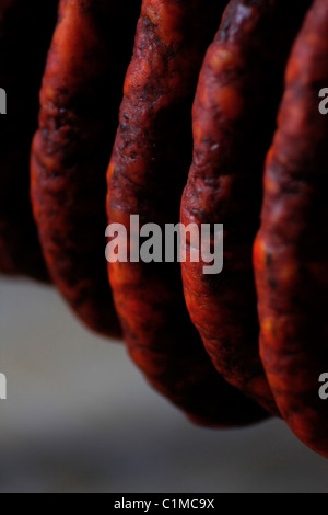 Group of aligned traditional portuguese chorizos hanging, in the curing process. Stock Photo