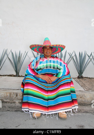 Mexican man sit sombrero serape and agave cactus smiling Stock Photo