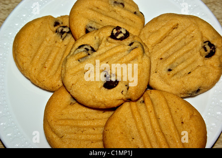 Plate freshly baked home made peanut butter chocolate chip cookies Stock Photo
