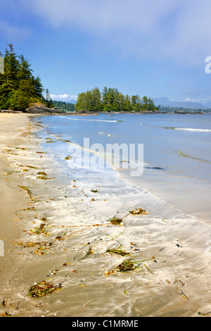 Long Beach in Pacific Rim National park, Vancouver Island, Canada Stock Photo