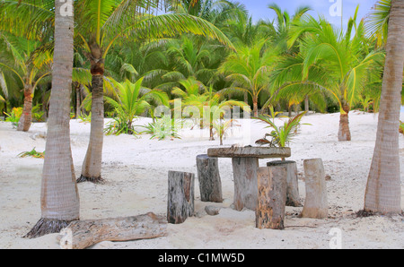 coconut Tulum palm trees beach with table and seats trunk made Stock Photo