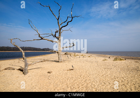 covehithe and benacre broad, suffolk, england Stock Photo