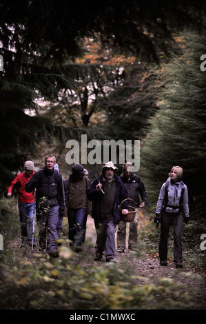 Foraging expert Raoul Van Den Broucke leads a tour party through woodland near Upper Llanover Gwent Wales UK Stock Photo