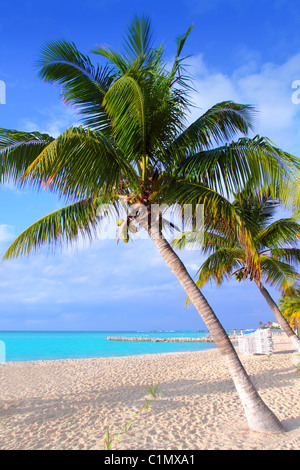 Caribbean North beach palm trees Isla Mujeres island Mexico Cancun Stock Photo