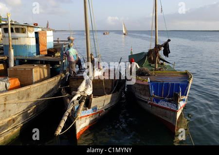 Kenya, Lamu Island, Lamu city listed as World Heritage by UNESCO Stock Photo