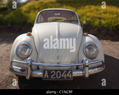 Old Volkswagen Beetle Stock Photo