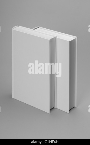 Two white plain books for design layout, standing Stock Photo