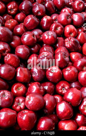 United States, Washington state, Manson area, lake Chelan fruit packing company Stock Photo