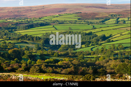 Patchwork fields in countryside. Widecombe in the Moor, Devon, England, United Kingdom, Europe Stock Photo