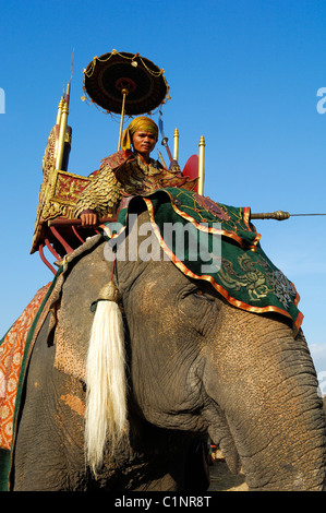 Thailand, Surin province, Surin, Surin Elephant Round-up Stock Photo