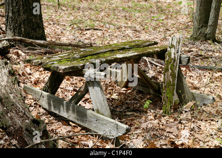 An old picnic table, long since lost in the woods. Stock Photo