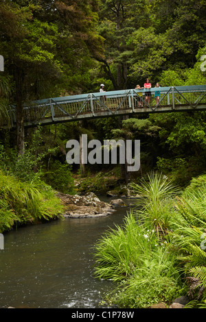 Tourists on bridge across Hatea River below Whangarei Falls, Whangarei, Northland, North Island, New Zealand Stock Photo