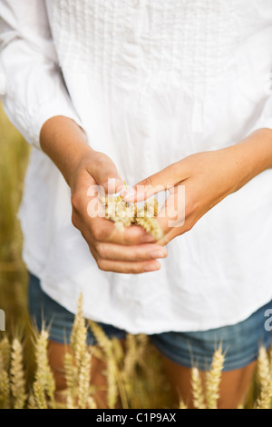 Midsection of woman holding wheat stalks Stock Photo