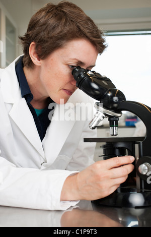 Scientist looking through microscope Stock Photo