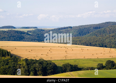 Germany, Limburg an der Lahn, Lahn Valley, Vcountryside with hay bales in field Stock Photo