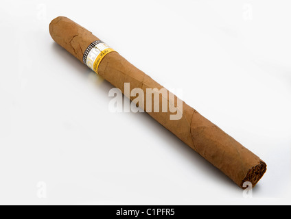 cuban cigar on white background Stock Photo