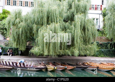Germany, Bavaria, Tubingen, punts moored on river Neckar Stock Photo