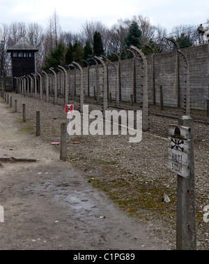Barbed wire fencing at Auschwitz-Birkenau, Poland. Stock Photo
