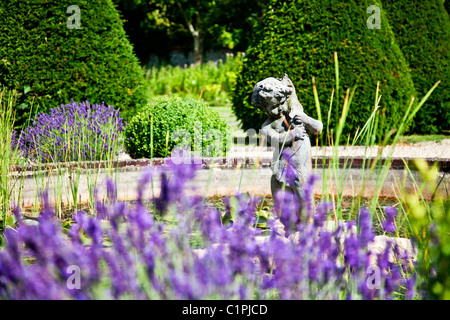 Stone statue of boy and fish in the pond of English country garden in Berkshire, England, UK with lavender around. Stock Photo