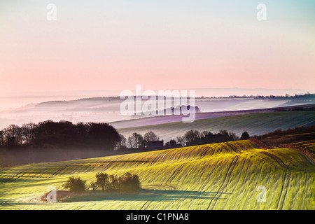 A beautiful misty sunrise over the Marlborough Downs, in Wiltshire, England, UK Stock Photo