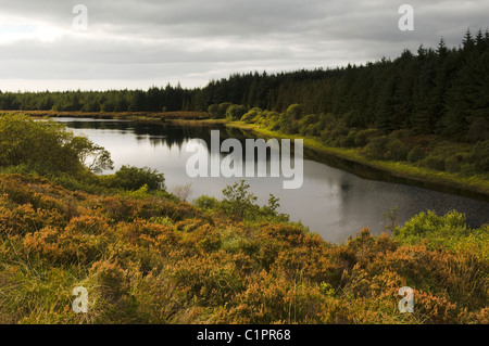 Northern Ireland, Fermanagh, Lakelands, view of lake Stock Photo