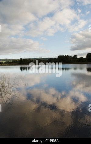 Northern Ireland, Fermanagh, Lakelands, Lower Lough Erne Stock Photo