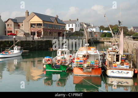 Northern Ireland, Belfast, Kilkeel, fishing boats moored in harbour Stock Photo