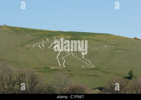 Cerne Abbas, Cerne Abbas Giant on steep hill Stock Photo