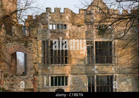 The ruins of Cowdray House in Cowdray Park, Midhurst, West Sussex, England Stock Photo