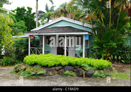 Andromeda Botanic Gardens Bridgetown Barbados Caribbean Cruise NCL Stock Photo