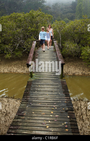 Family on footbridge over mangroves, Paihia, Bay of Islands, Northland, North Island, New Zealand
