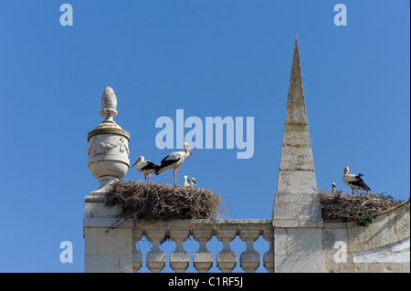 storks' nests on the Arco da Vila, the old town, Faro, Algarve, Portugal Stock Photo