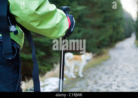 Woman on nordic walking trip in autumn moutains Stock Photo