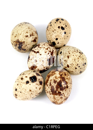 Quail eggs isolated against a white background Stock Photo