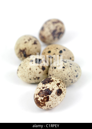 Quail eggs isolated against a white background Stock Photo
