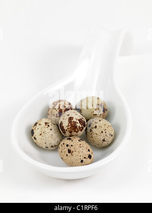 Quail eggs isolated against a white background Stock Photo