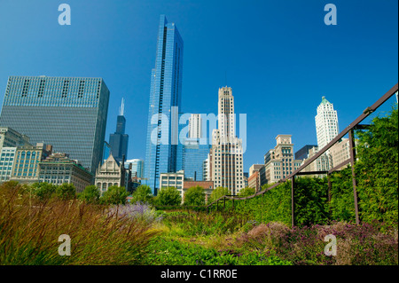 Lurie Garden in  Millennium Park with Chicago skyline Stock Photo