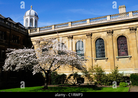 Clare College Chapel, Cambridge, England, UK Stock Photo