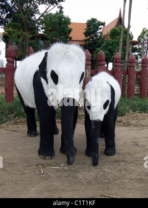 ELEPHANT PANDAS  Either these elephants are making some kind of statement or this is the worst disguise ever!   A group of Thai Stock Photo