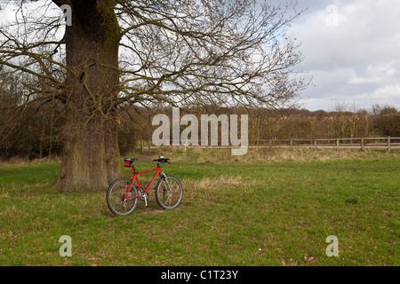 A mountain bike parked under an Oak tree in the countryside. Stock Photo