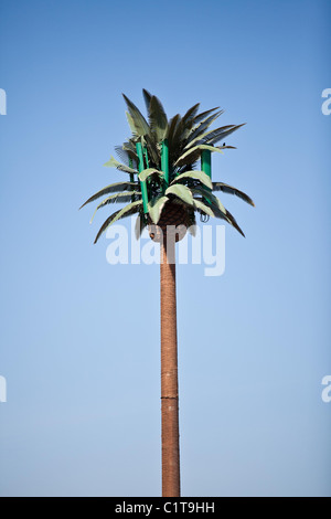 Mobile phone cell tower decorated like a palm tree Henderson, NV. Stock Photo