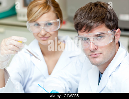 Two scientists doing experiments Stock Photo