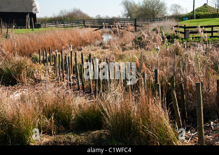 Reproduction of the bronze age wooden causeway at Flag Fen Archaeology Park, Peterborough, Cambridgeshire, England, UK Stock Photo